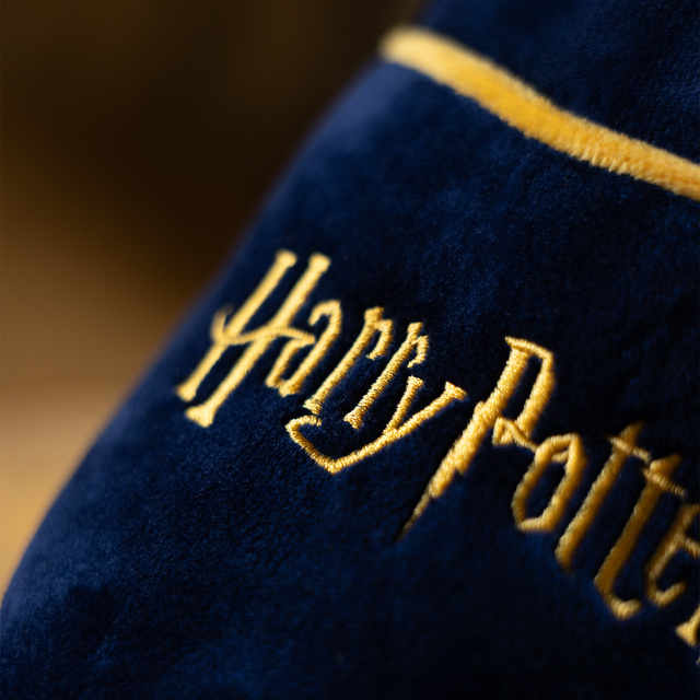 Pánské pantofle s motivem Harryho Pottera