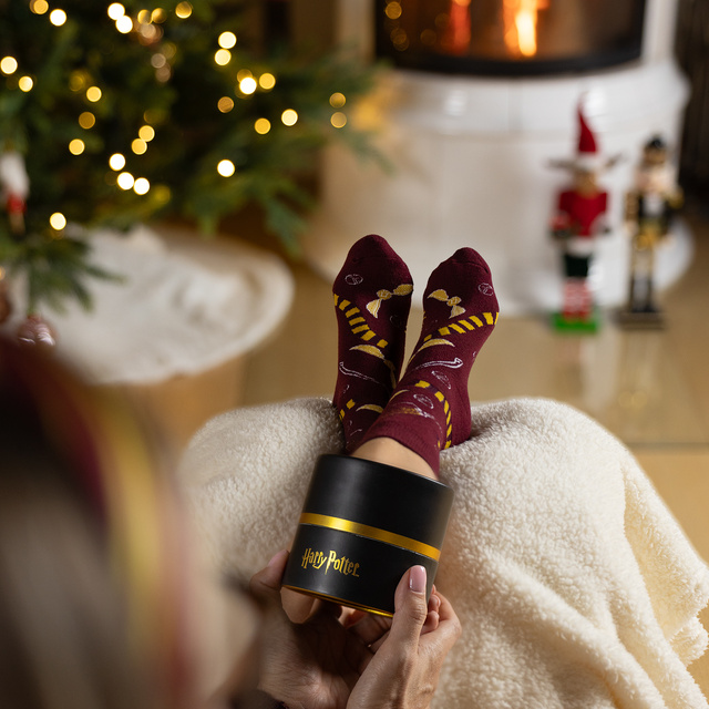 Ponožky v tubusu s motivem Harryho Pottera