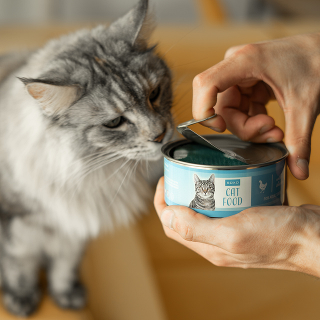 Pánské dámské ponožky SOXO krátkosrstá kočka v konzervě