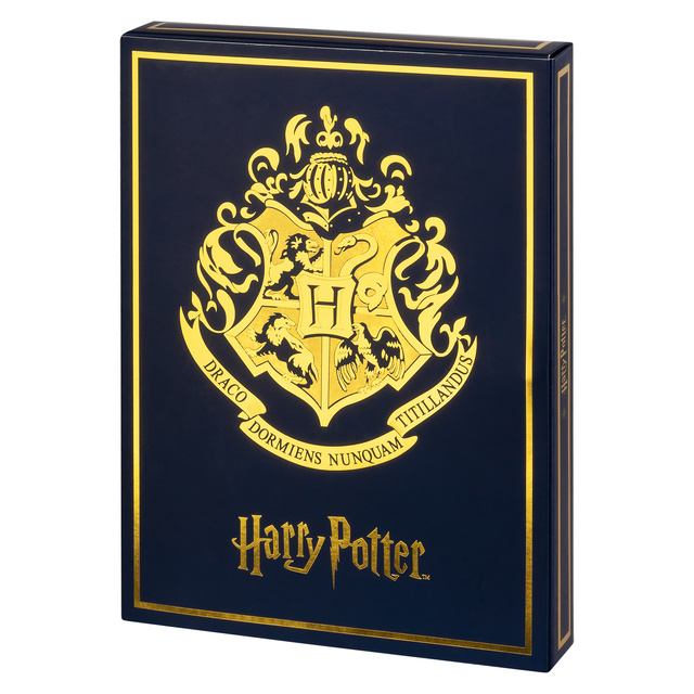 Adventní kalendář s Ponožkami Harry Potter 6-pack