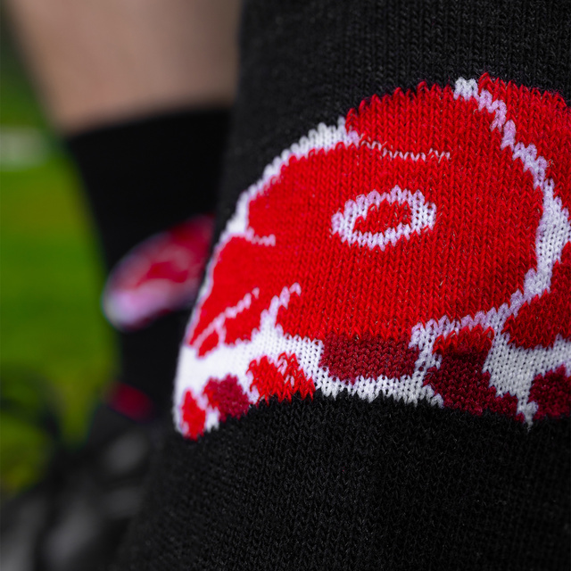 Pánské ponožky SOXO Steak