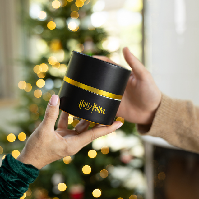 Ponožky v tubusu s motivem Harryho Pottera