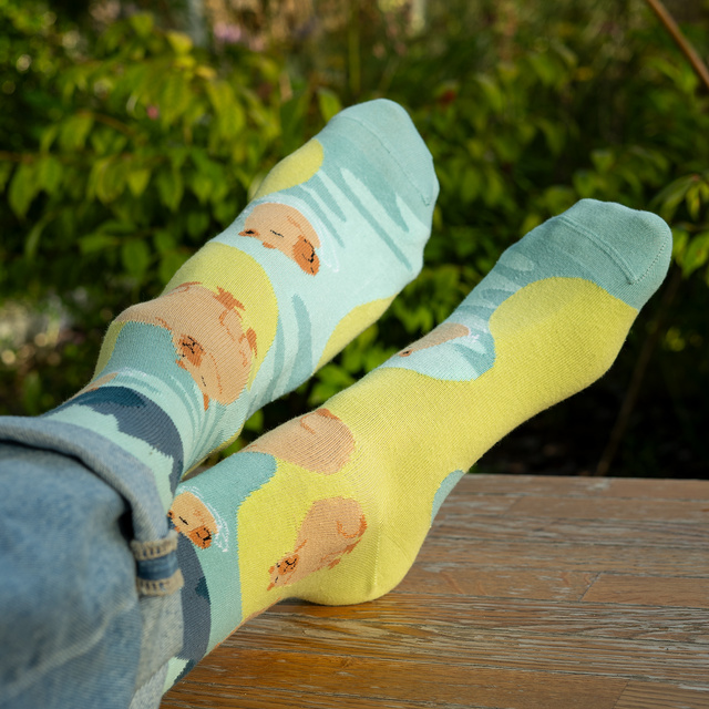 Ponožky pánské dámské SOXO kapybara ve vaně - 2 páry