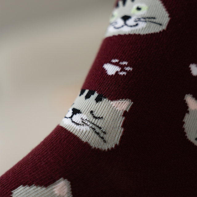 Dámské pánské ponožky SOXO | Kotě v krabičce