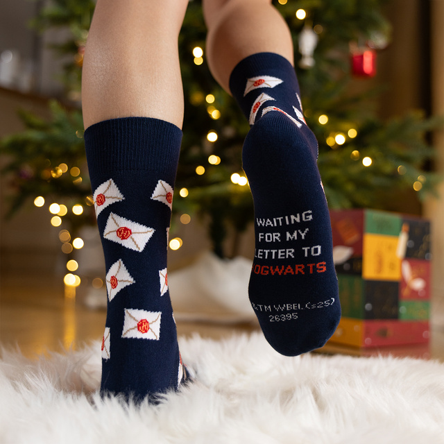 Dárkový box s ponožkami Harry Potter 24-pack