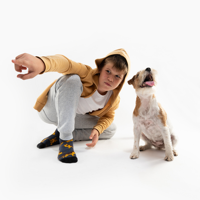 Pánské dámské ponožky SOXO německý ovčák v plechovce