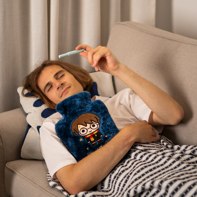 Termofor Harry Potter Originální licencovaný produkt Warner Bros v plyšovém obalu