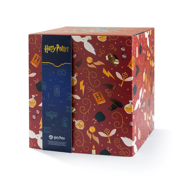 Dárkový box s ponožkami Harry Potter 24-pack