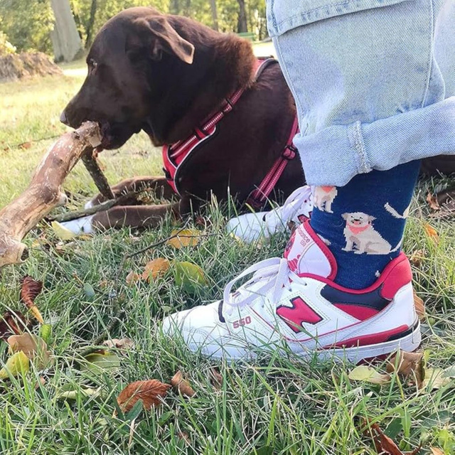 Pánské dámské ponožky SOXO labrador v plechovce