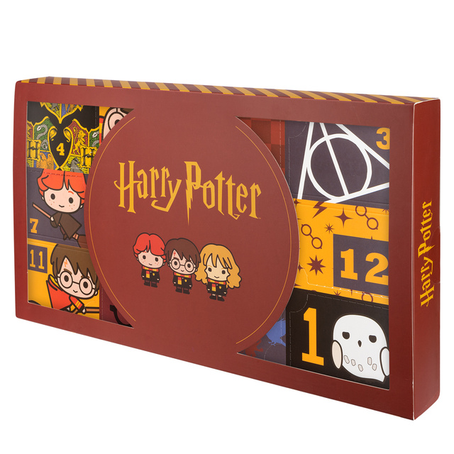 Adventní kalendář s Ponožkami Harry Potter 6-pack