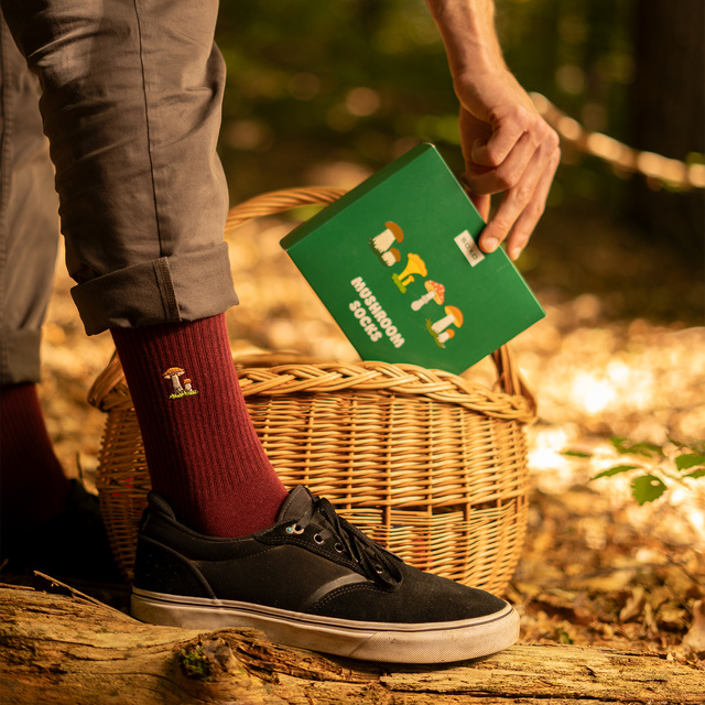 Sada 4x Pánské ponožky SOXO houby v balení prémiová edice