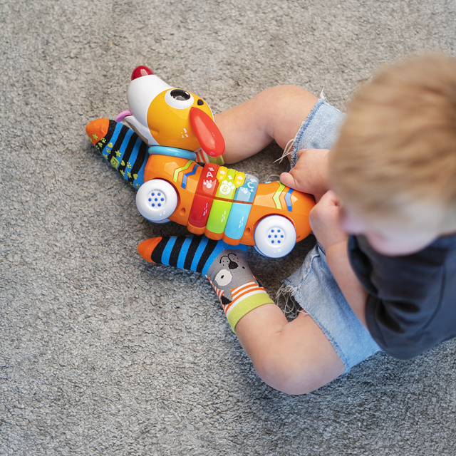 Sada 3x Dětské ponožky barevné SOXO zvířátka | tygr | pes | lenochod