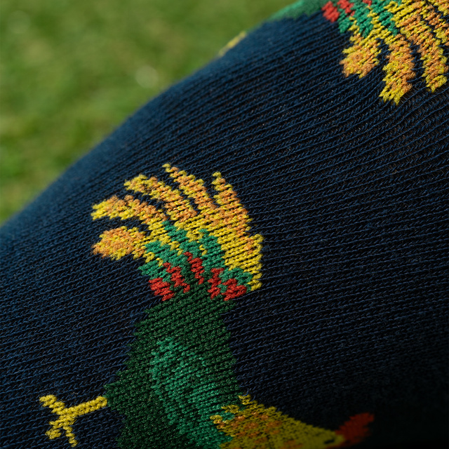 2x Barevné pánské kotníčkové ponožky SOXO velikonoční pro něj