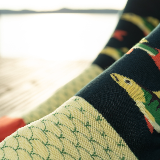 Soxky pánské SOXO Okoun v balení