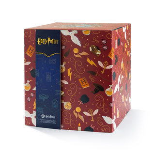 Dárkový box s ponožkami Harry Potter 24-pack