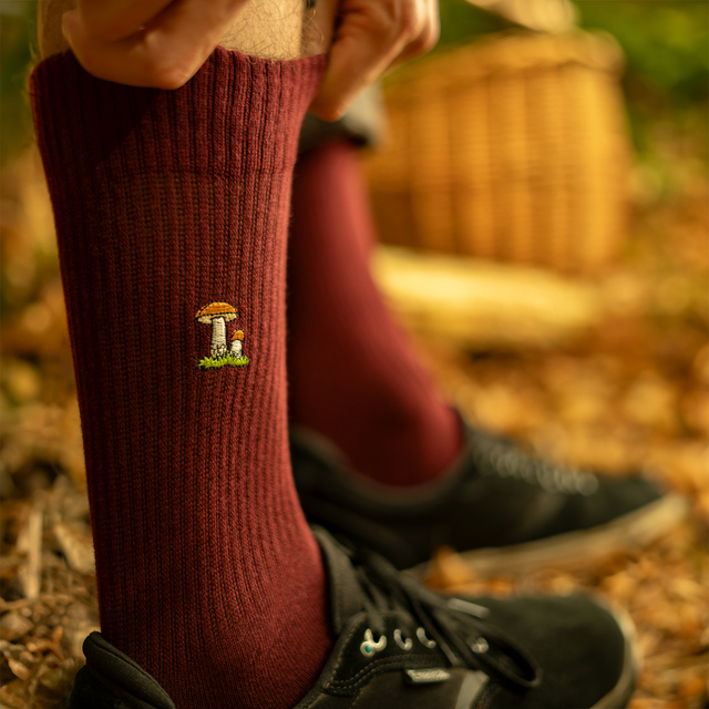 Sada 4x Pánské ponožky SOXO houby v balení prémiová edice